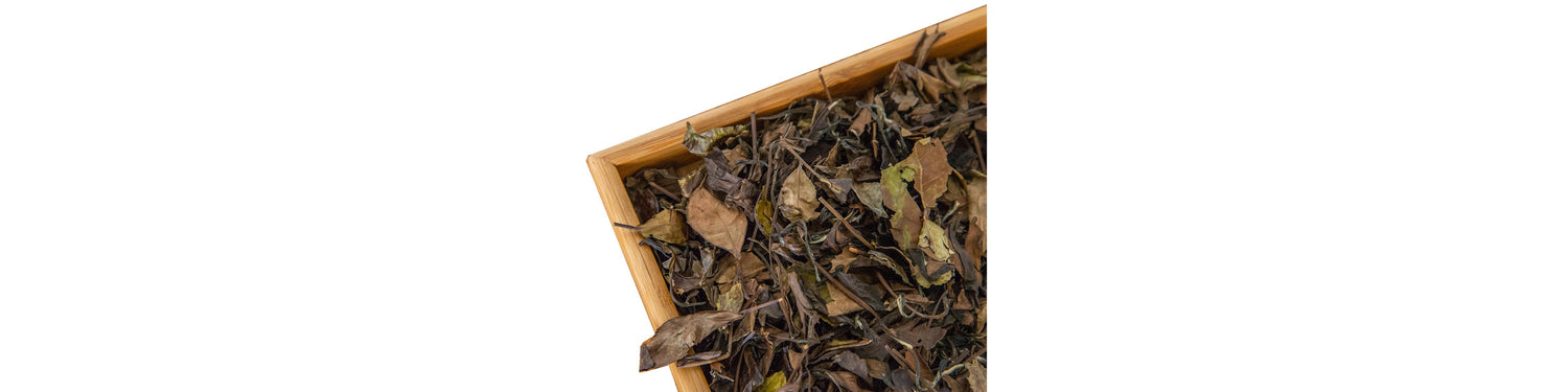 White Tea
