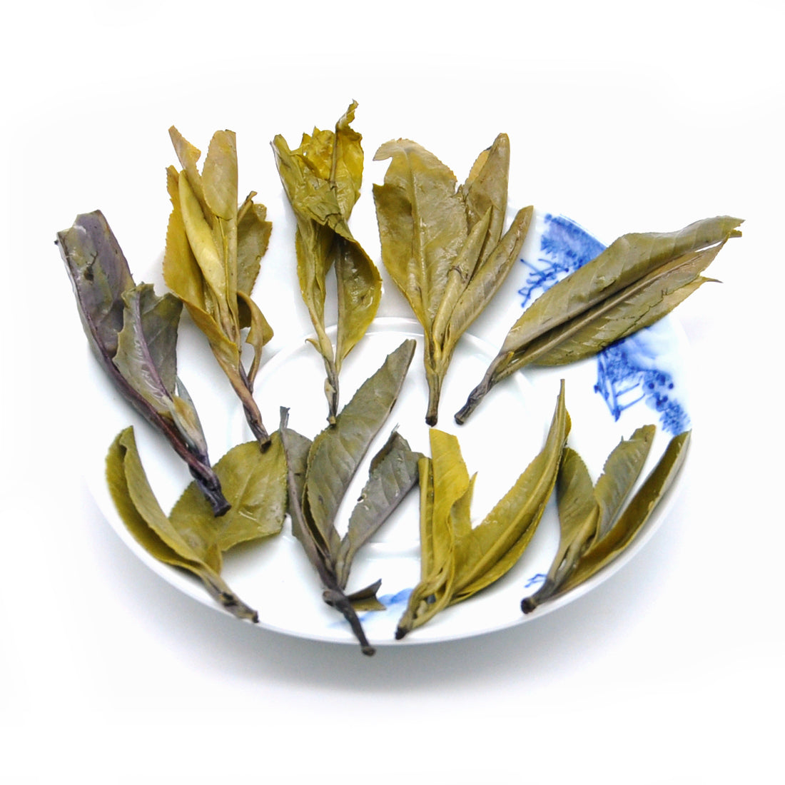 Cha Wu-[A] KuDing Tea,Herbal Tea,Bitter Taste Herbal